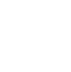 totem icon